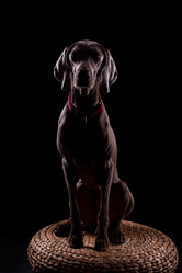 Similar image 13193339