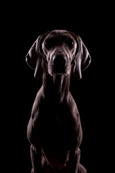 Similar image 13193353