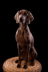 Similar image 13193346