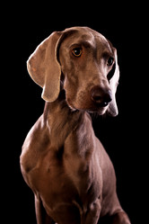 Similar image 13193348