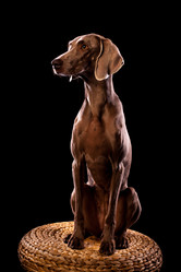 Similar image 13193349