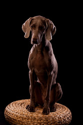 Similar image 13193350