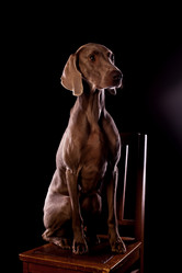 Similar image 13193351