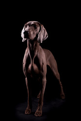 Similar image 13193354