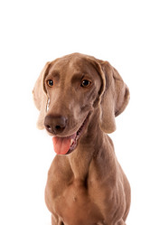 Similar image 13193376