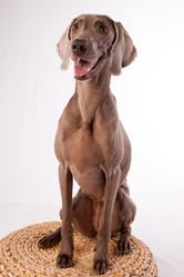 Similar image 13193377