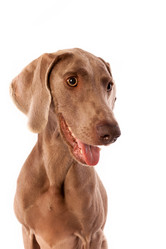 Similar image 13193379