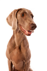 Similar image 13193380