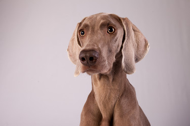 Similar image 13193231