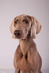 Similar image 13193232