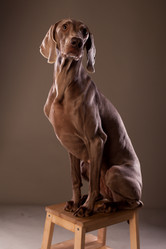 Similar image 13193234