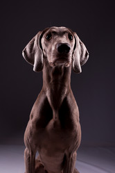 Similar image 13193235