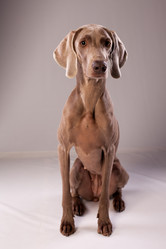 Similar image 13193237