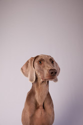 Similar image 13193238