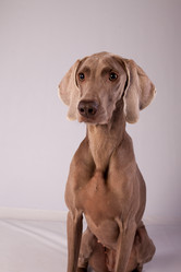 Similar image 13193258