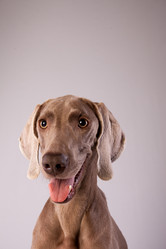 Similar image 13193259