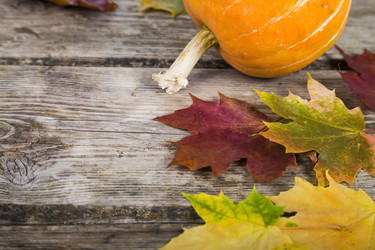 Similar image 13204747