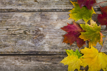 Similar image 13204750