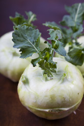 Similar image 13204766