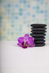 Similar image 13241429