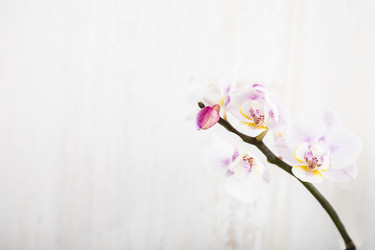 Similar image 13241445