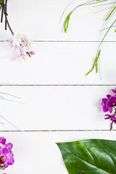 Similar image 13241422