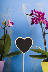 Similar image 13241424