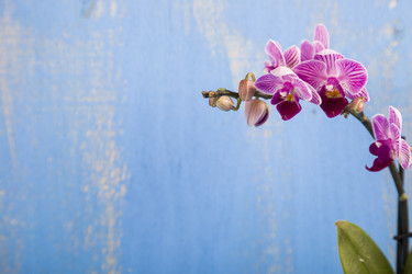 Similar image 13241425