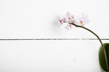 Similar image 13241428