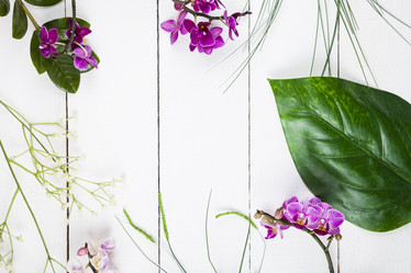 Similar image 13241431