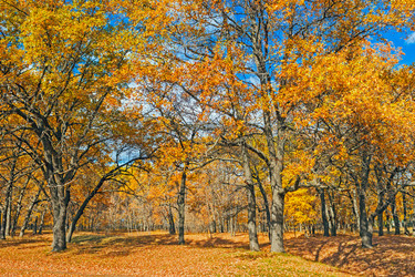 Similar image 13225380