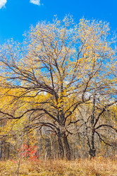 Similar image 13225383