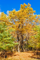 Similar image 13225384