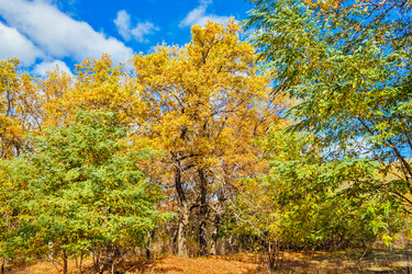 Similar image 13225385