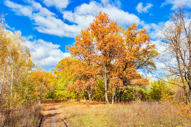 Similar image 13225386