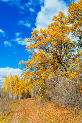 Similar image 13225390