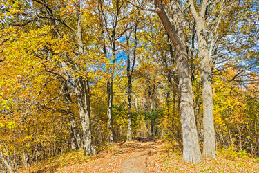 Similar image 13225403