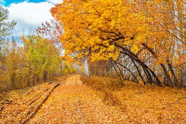 Similar image 13225404