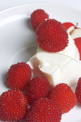 Similar image 13195838