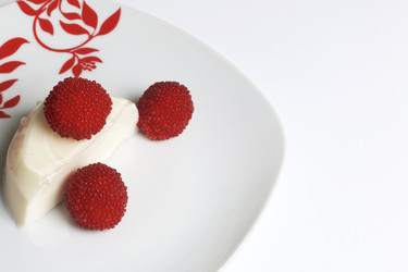 Similar image 13195839