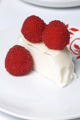 Similar image 13195845