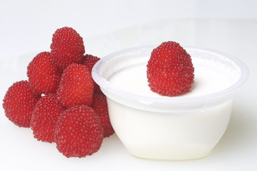 Similar image 13195855