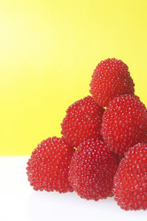 Similar image 13195856