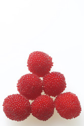 Similar image 13195858