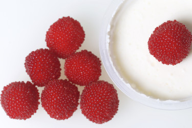 Similar image 13195860