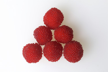 Similar image 13195863