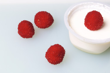 Similar image 13195879