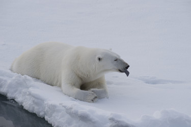 Similar image 13214885