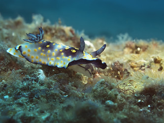 Similar image 13192387