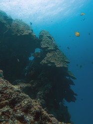 Similar image 13192389